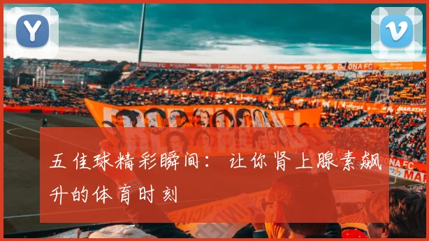 五佳球精彩瞬间:让你肾上腺素飙升的体育时刻